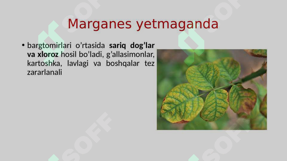 sellerImage