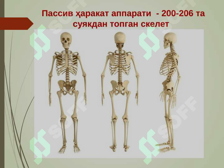 sellerImage