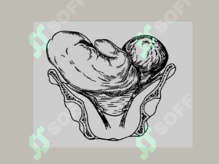 sellerImage