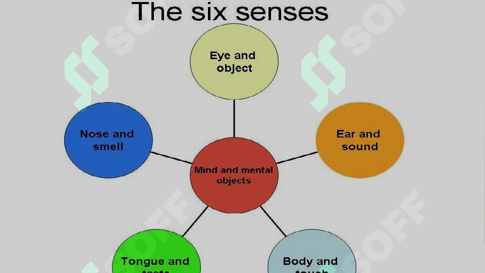 sellerImage