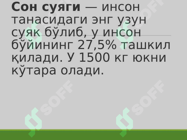 sellerImage