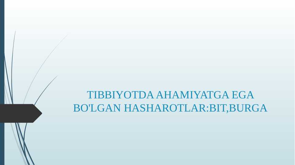 TIBBIYOTDA AHAMIYATGA EGA BO'LGAN HASHAROTLAR BIT,BURGA