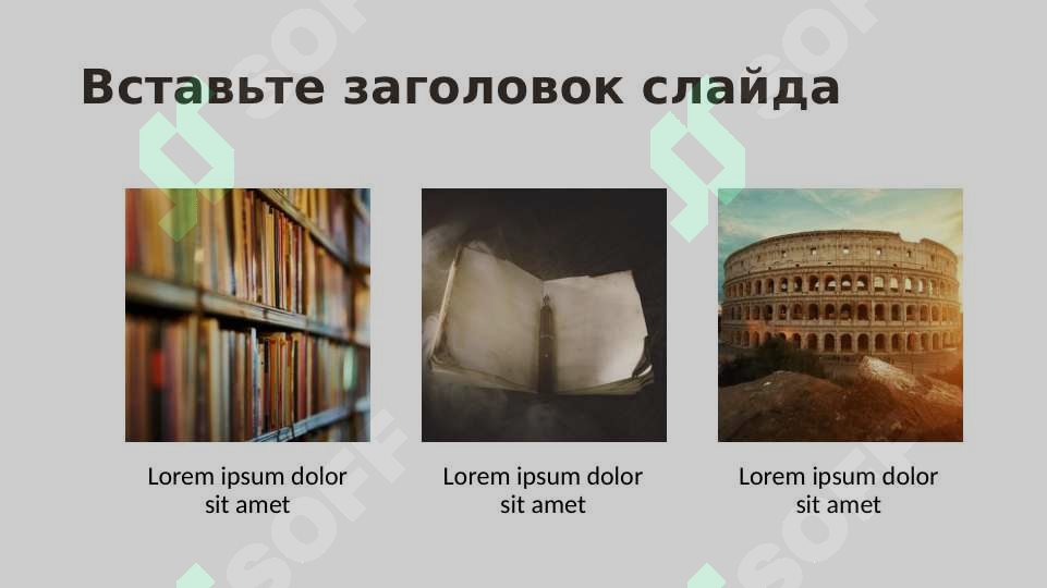 sellerImage