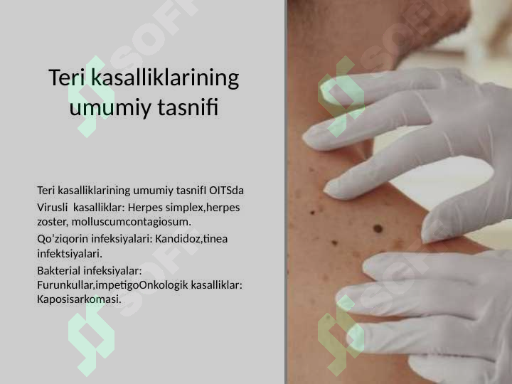 sellerImage