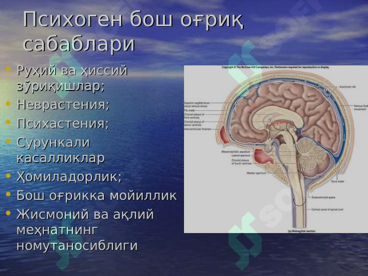 sellerImage