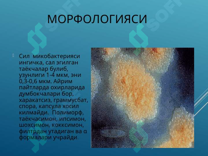 sellerImage