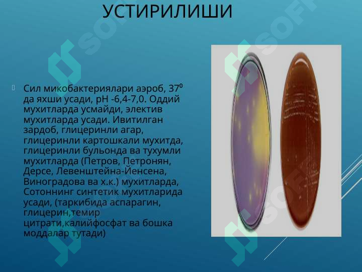 sellerImage