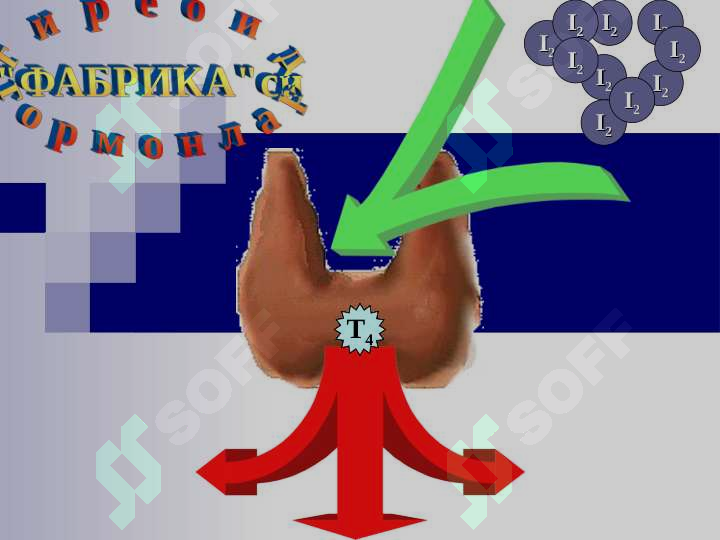 sellerImage