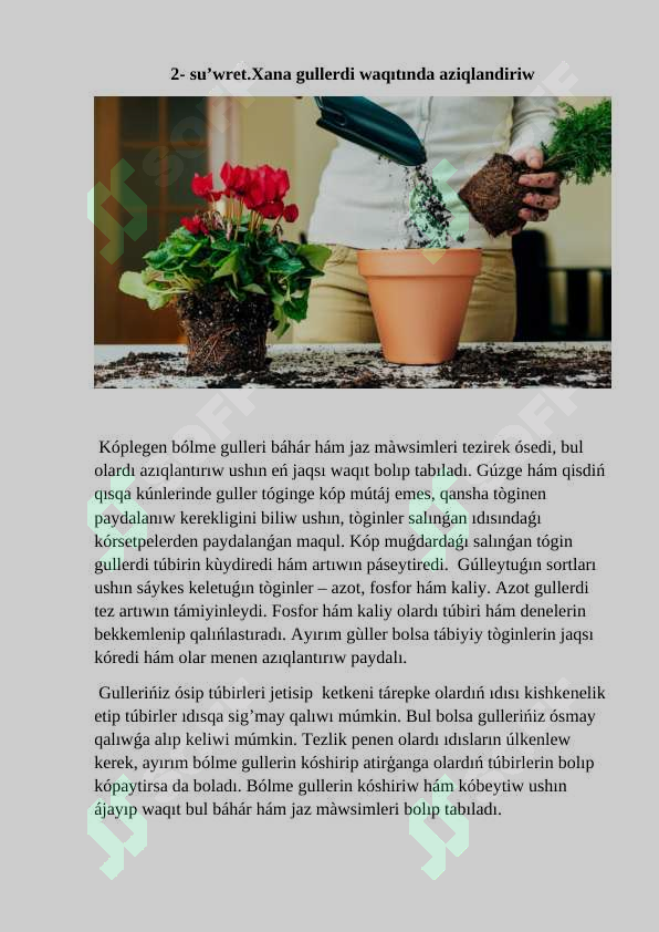 sellerImage