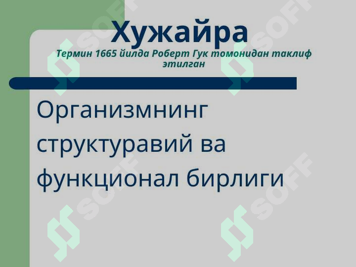 sellerImage