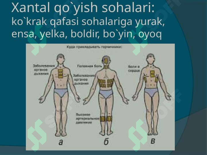 sellerImage