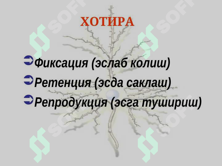 sellerImage