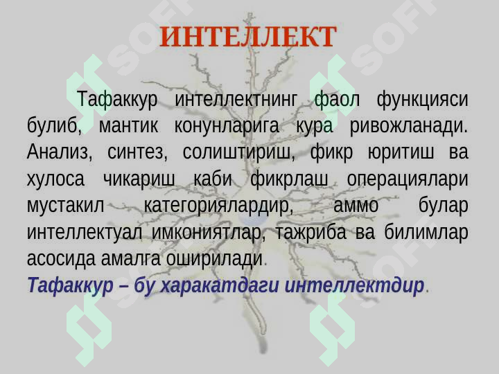 sellerImage