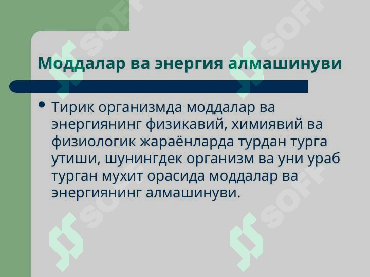 sellerImage