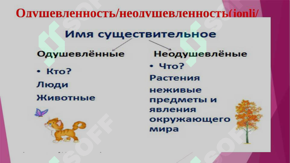 sellerImage