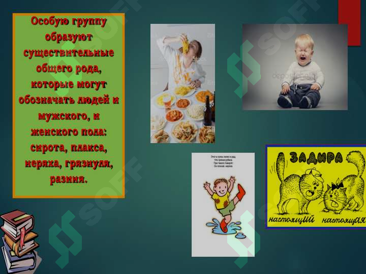 sellerImage