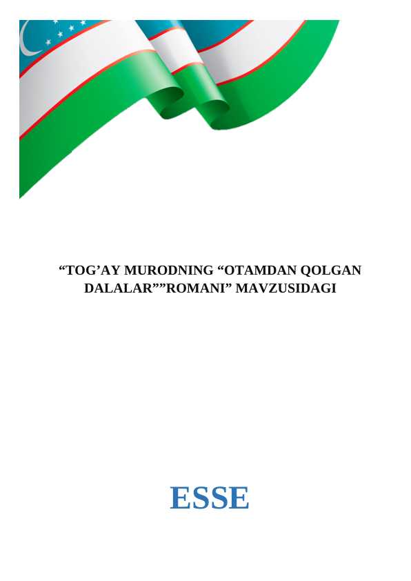 TOG’AY MURODNING “OTAMDAN QOLGAN DALALAR””ROMANI esse