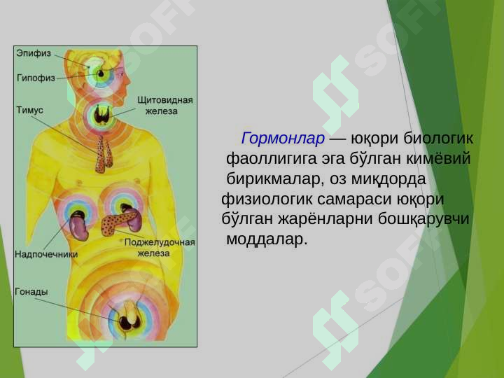 sellerImage