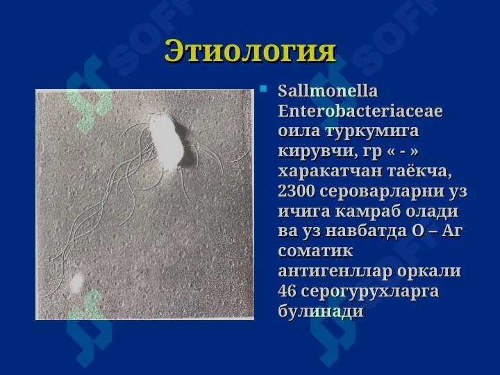 sellerImage
