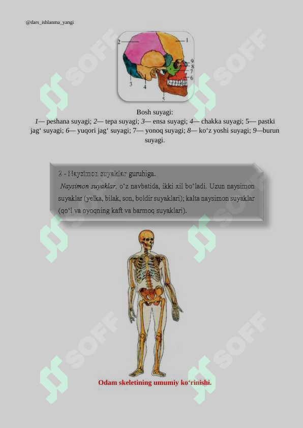 sellerImage