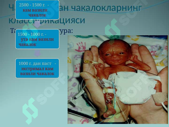 sellerImage