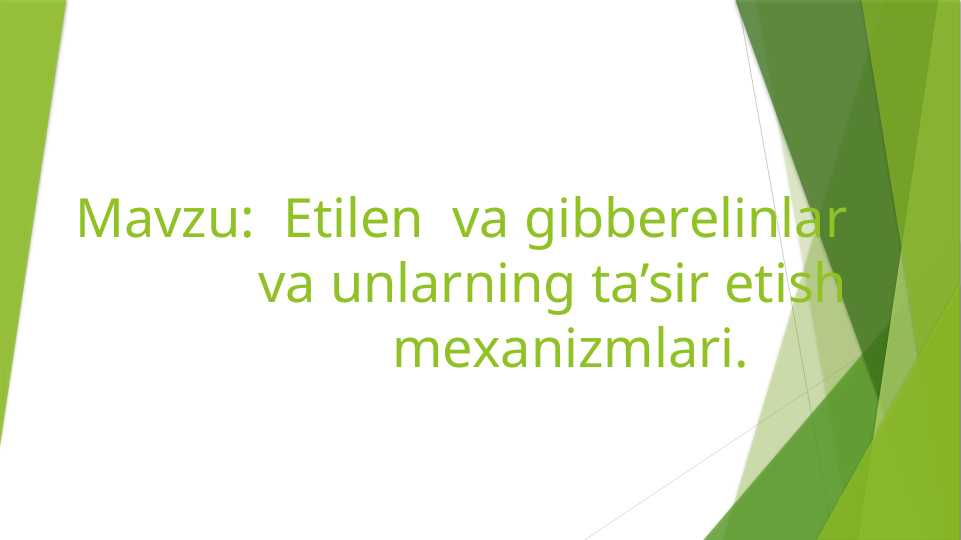 Etilen  va gibberelinlar va unlarning ta’sir etish mexanizmlari.
