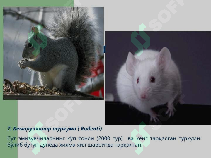 sellerImage
