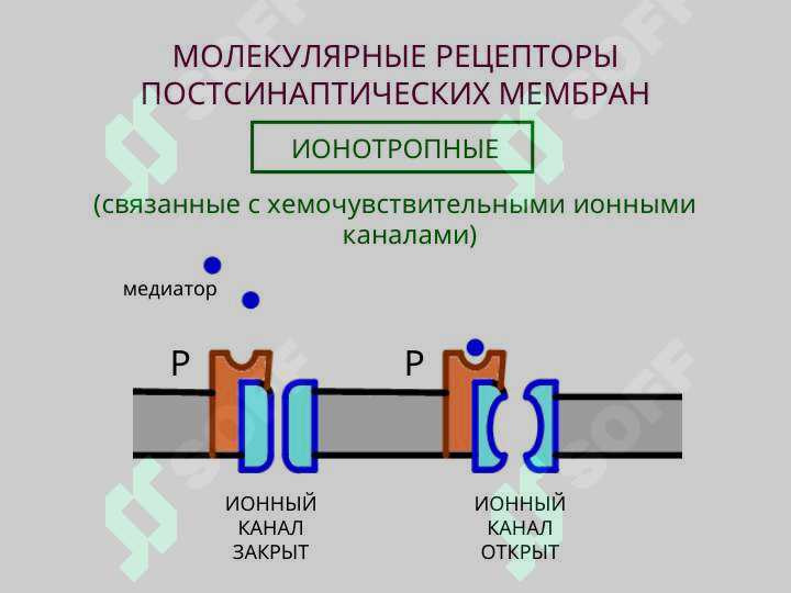 sellerImage
