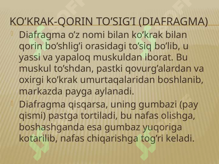 Ko’krak muskullari va ularning vazifalari