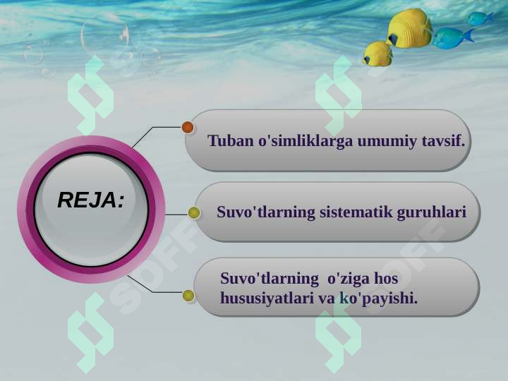sellerImage