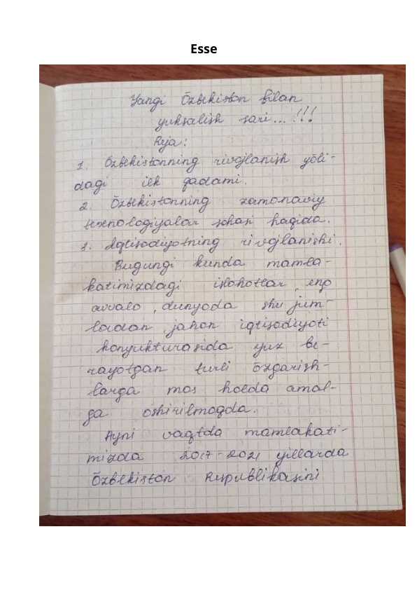 ESSE: Yangi O'zbekiston bilan yuksalish sari