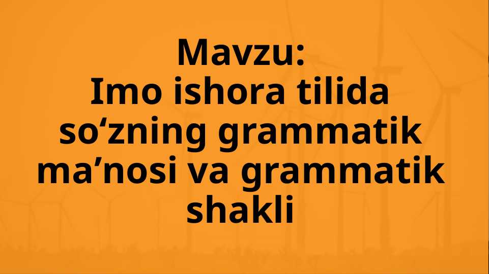 Imo ishora tilida soʻzning grammatik maʼnosi va grammatik shakli