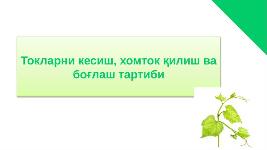 TOKLARNI KESISH XOMTOK QILISH VA BOG`LASH TARTIBI