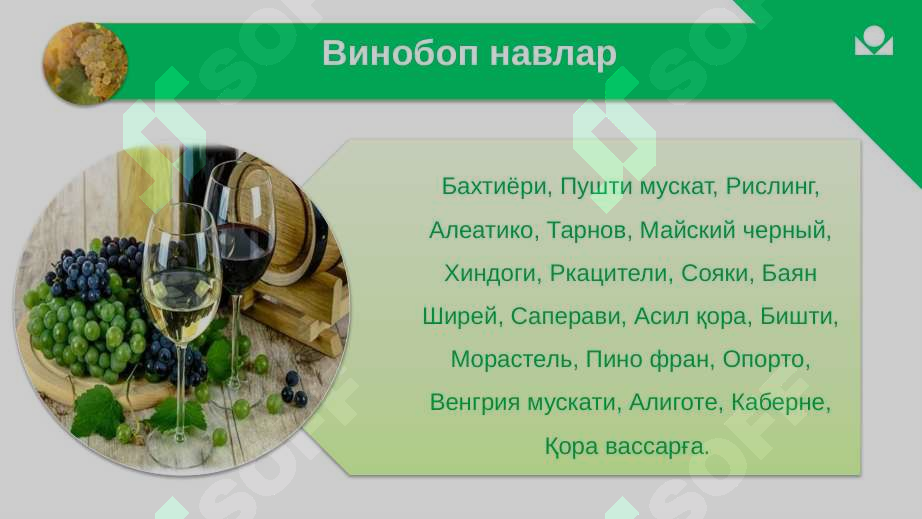 sellerImage