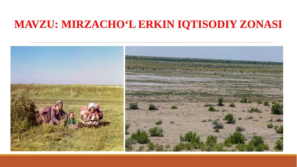 Mirzacho‘l erkin iqtisodiy zonasi