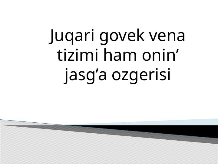 Juqari govek vena tizimi ham onin’ jasg’a ozgerisi