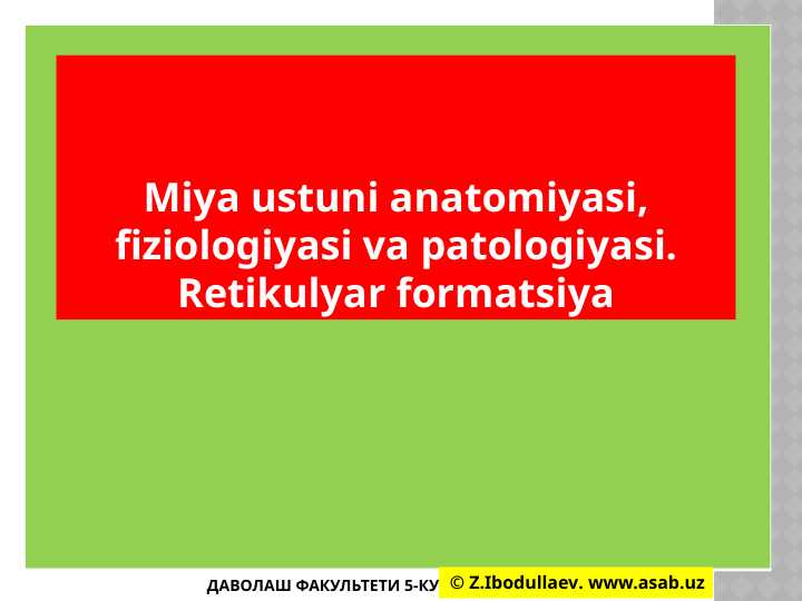 Miya ustuni anatomiyasi, fiziologiyasi va patologiyasi. Retikulyar formatsiya
