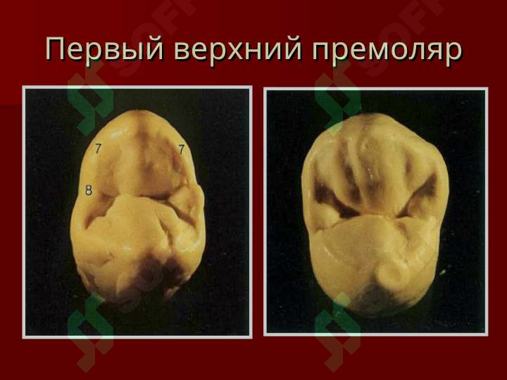sellerImage