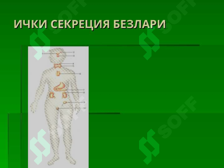sellerImage