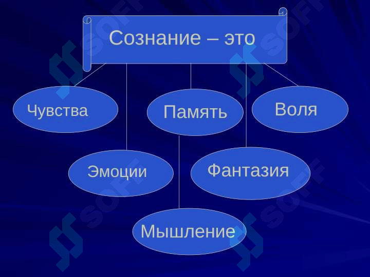 sellerImage