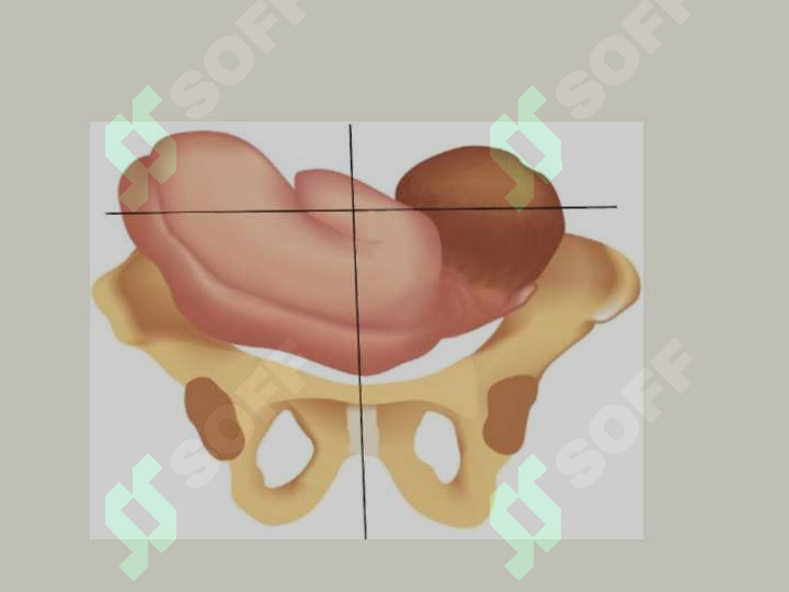 sellerImage
