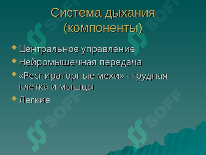 sellerImage