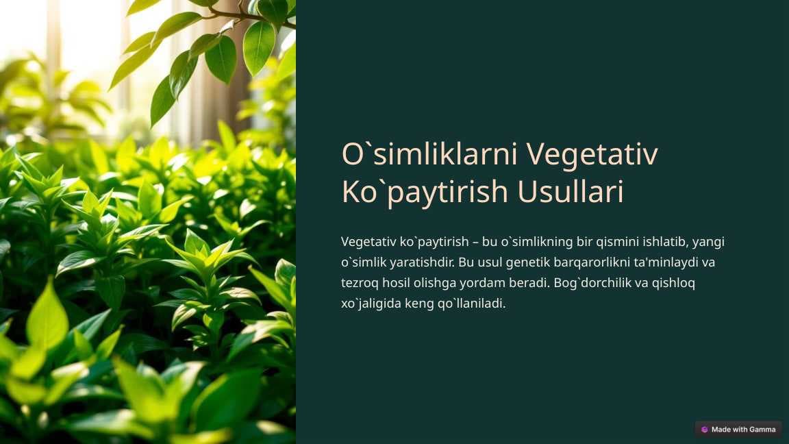 sellerImage