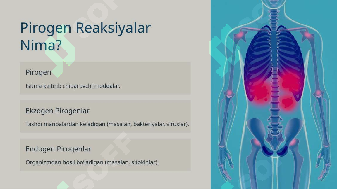 Pirogen Reaksiyalar: Sabablari va Klinikasi diagnostikasi va birinchi ...