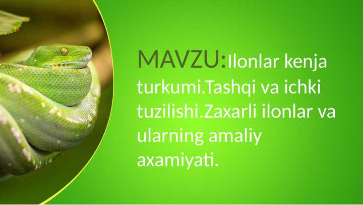 Ilonlar kenja turkumi.Tashqi va ichki tuzilishi.Zaxarli ilonlar va ularning amaliy axamiyati.