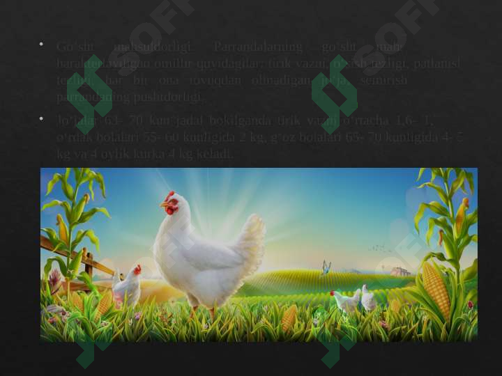 sellerImage