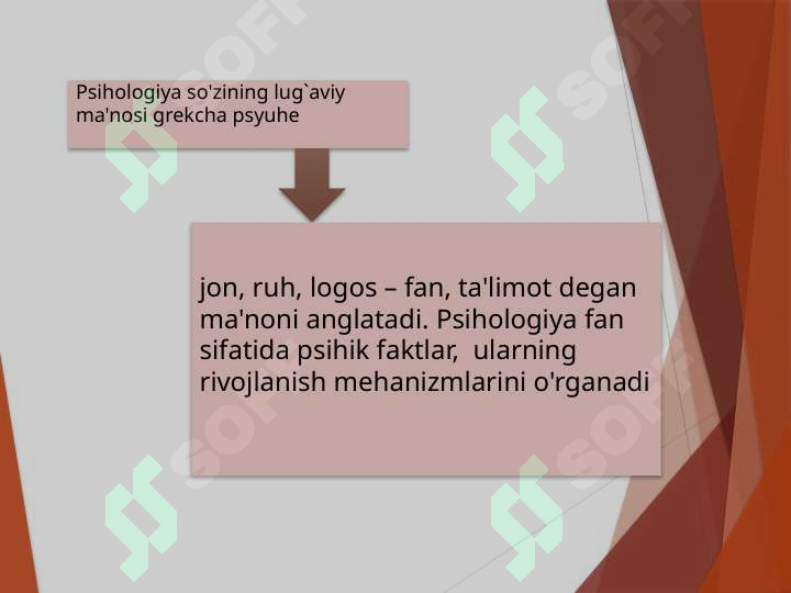 sellerImage