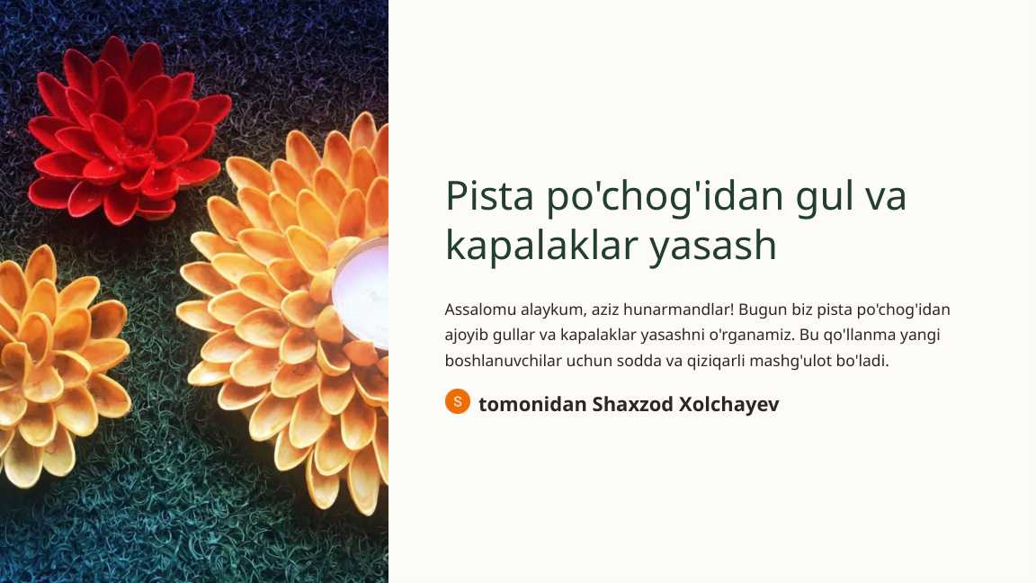 Pista po'chog'idan gul va kapalaklar yasash