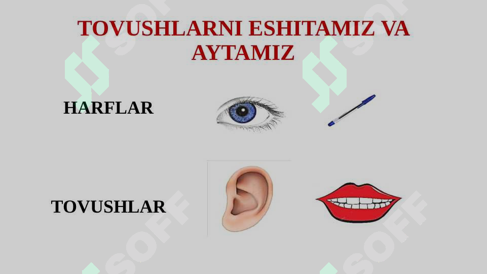 sellerImage