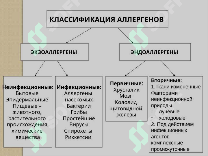 sellerImage